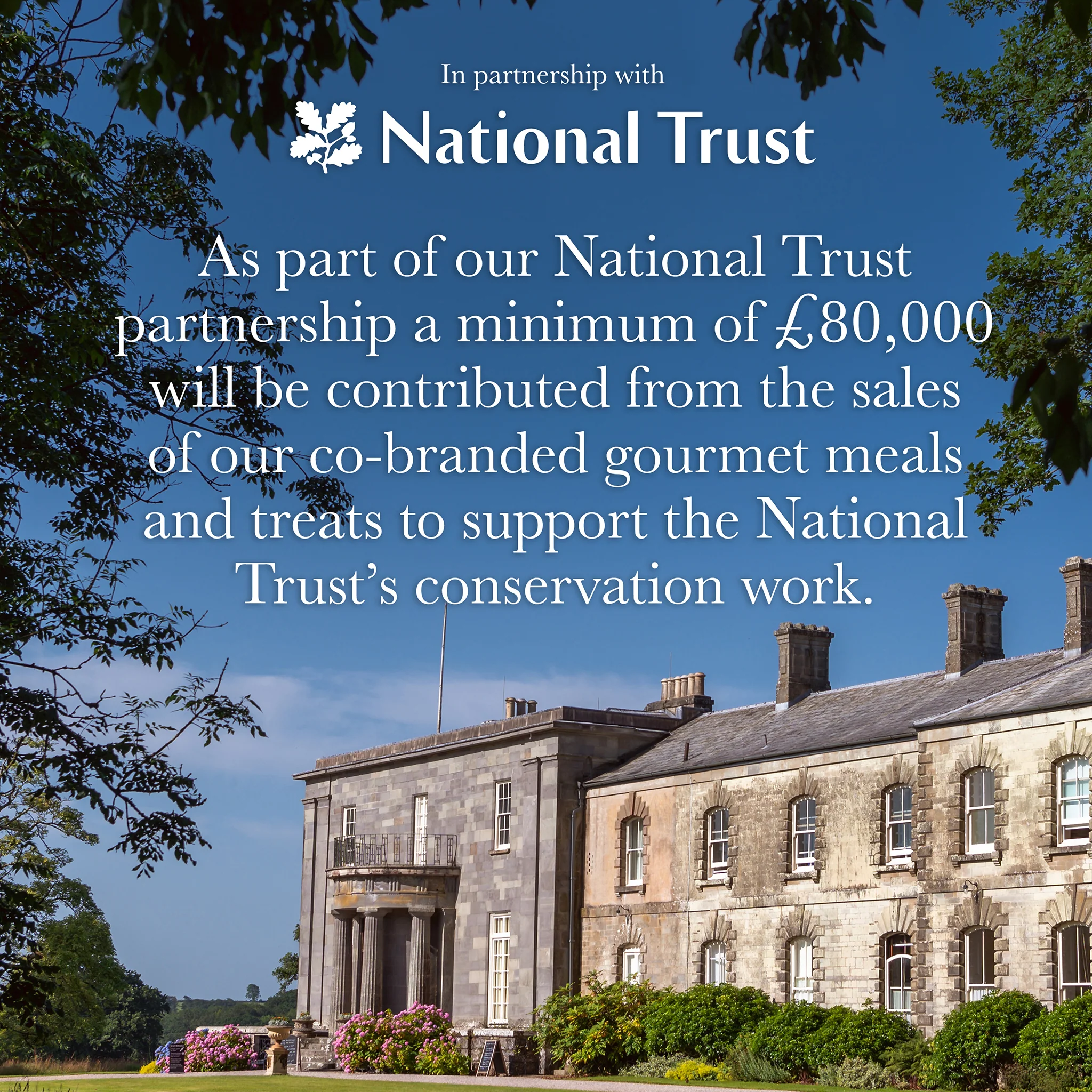 Thumbnail 14